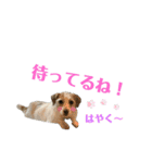 かわいいモカちん♪（個別スタンプ：10）