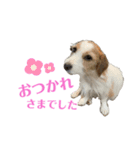 かわいいモカちん♪（個別スタンプ：16）