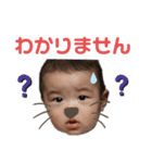 よりちゃんスタンプ②（個別スタンプ：1）