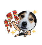 Love20202896（個別スタンプ：1）