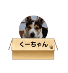 Love20202896（個別スタンプ：3）