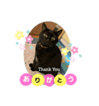 黒猫ジジちゃんの毎日（個別スタンプ：1）