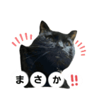 黒猫ジジちゃんの毎日（個別スタンプ：6）