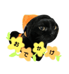 黒猫ジジちゃんの毎日（個別スタンプ：7）