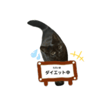 黒猫ジジちゃんの毎日（個別スタンプ：8）