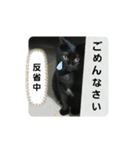 黒猫ジジちゃんの毎日（個別スタンプ：10）