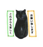 黒猫ジジちゃんの毎日（個別スタンプ：13）