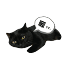 黒猫ジジちゃんの毎日（個別スタンプ：15）