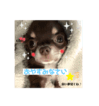 じゃむきち君スタンプ（個別スタンプ：2）