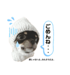 じゃむきち君スタンプ（個別スタンプ：3）