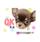 じゃむきち君スタンプ（個別スタンプ：4）