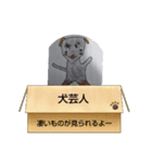 大スター犬芸人（個別スタンプ：1）