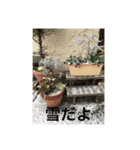 お花がいっぱいだよスタンプ（個別スタンプ：5）