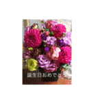 お花がいっぱいだよスタンプ（個別スタンプ：7）