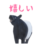 ほほえみフレンズ バクの日常BIGスタンプ（個別スタンプ：9）