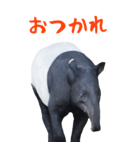 ほほえみフレンズ バクの日常BIGスタンプ（個別スタンプ：10）