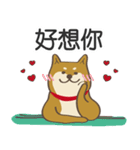 アチャイ˙独身犬バレンタイン・デー幻想（個別スタンプ：6）