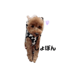 うちの犬たちの日常（個別スタンプ：3）