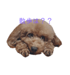 うちの犬たちの日常（個別スタンプ：6）