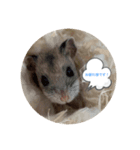 うにすた-お仕事編-（個別スタンプ：1）