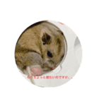 うにすた-お仕事編-（個別スタンプ：2）