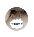 うにすた-お仕事編-（個別スタンプ：4）