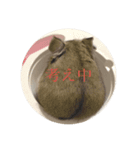 うにすた-お仕事編-（個別スタンプ：5）