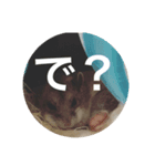 うにすた-お仕事編-（個別スタンプ：6）