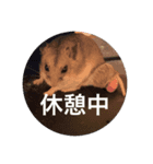 うにすた-お仕事編-（個別スタンプ：7）