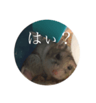 うにすた-お仕事編-（個別スタンプ：8）