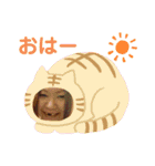 かずよのすべて（個別スタンプ：23）
