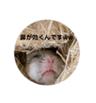 うにすた-日常編2-（個別スタンプ：1）