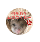 うにすた-日常編2-（個別スタンプ：2）