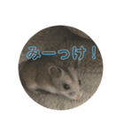 うにすた-日常編2-（個別スタンプ：3）