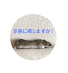 うにすた-日常編2-（個別スタンプ：4）