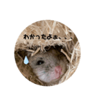 うにすた-日常編2-（個別スタンプ：5）