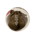 うにすた-日常編2-（個別スタンプ：6）