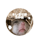 うにすた-日常編2-（個別スタンプ：7）