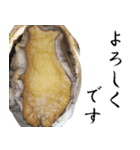 【飛び出す】肉厚あわび（個別スタンプ：4）