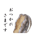 【飛び出す】肉厚あわび（個別スタンプ：7）