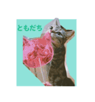 okinanee 02（個別スタンプ：5）