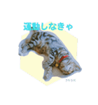 okinanee 02（個別スタンプ：8）