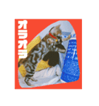 okinanee 02（個別スタンプ：9）