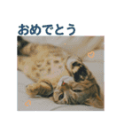 okinanee 02（個別スタンプ：11）