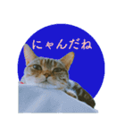 okinanee 02（個別スタンプ：21）