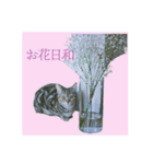 okinanee 02（個別スタンプ：23）