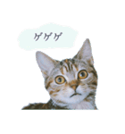 okinanee 02（個別スタンプ：24）