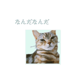 okinanee 02（個別スタンプ：26）