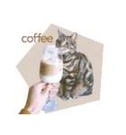 okinanee 02（個別スタンプ：27）