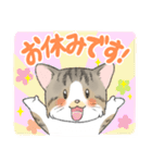 にゃんこ たま（猫）（個別スタンプ：3）